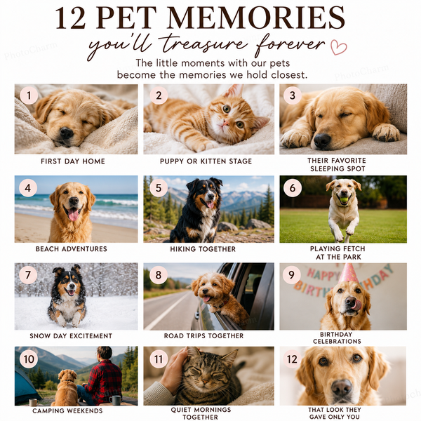 12 Pet Memories You’ll Treasure Forever